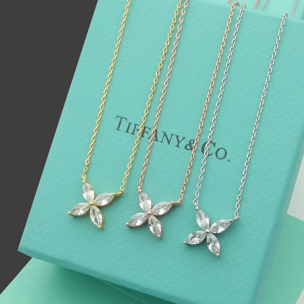 Tiffany & Co. Necklace