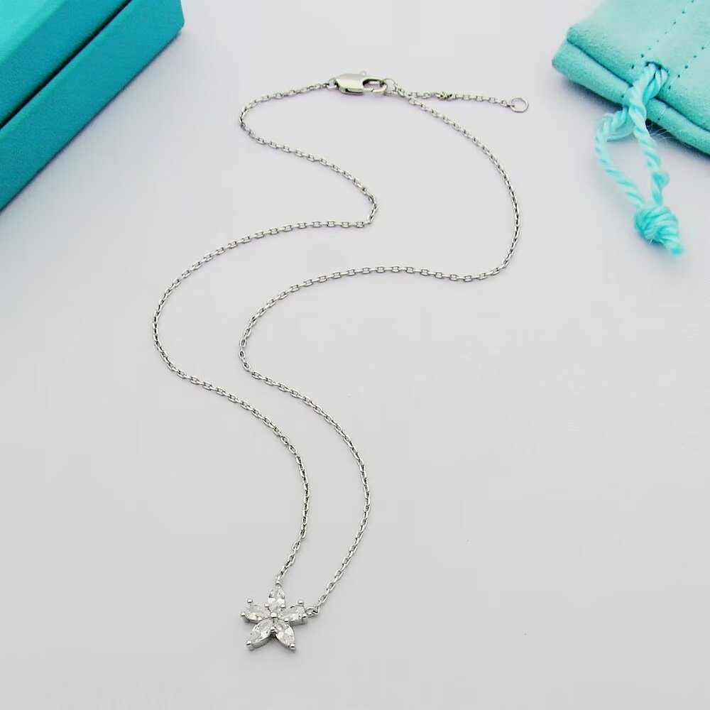 Tiffany & Co. Necklace