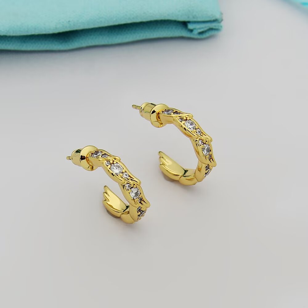 Tiffany & Co. Earrings