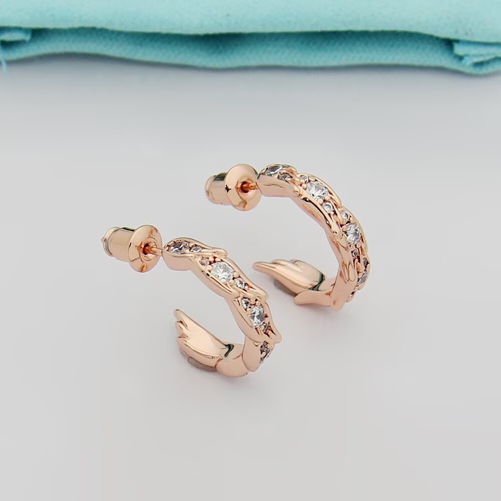 Tiffany & Co. Earrings