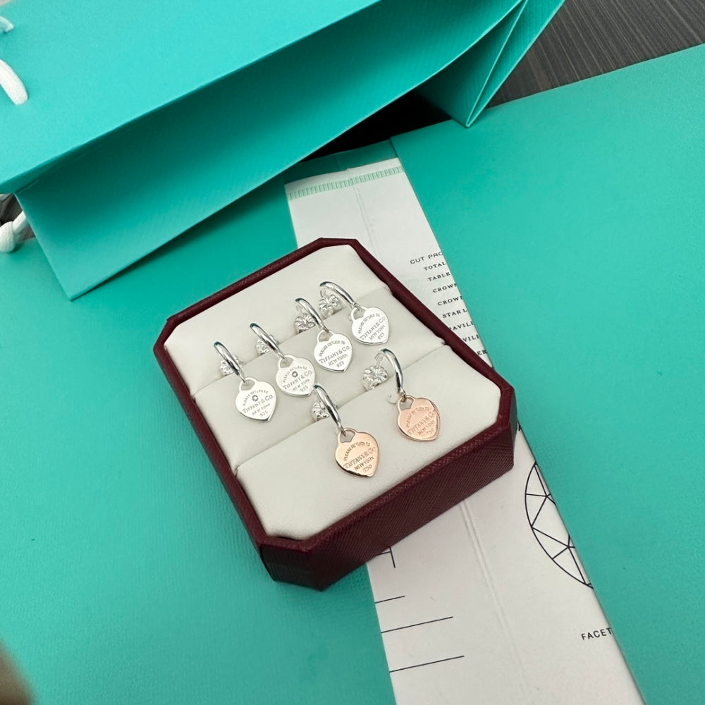 Tiffany & Co. Stainless Steel Heart Earrings