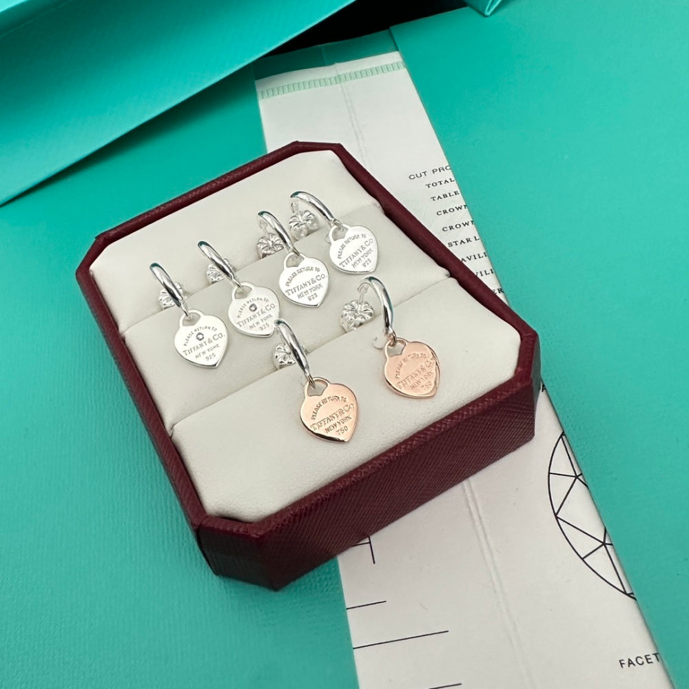 Tiffany & Co. Stainless Steel Heart Earrings