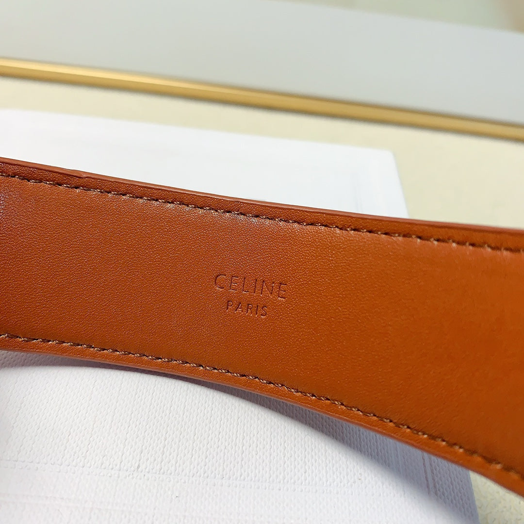 CELINE Triomphe Fashion Accessory
