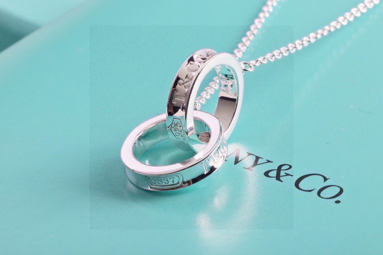 Tiffany & Co. Necklace