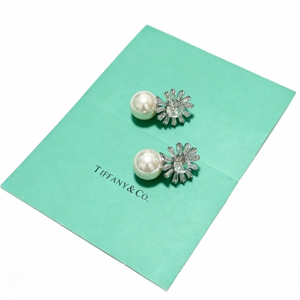 Tiffany & Co. Crystal Earrings