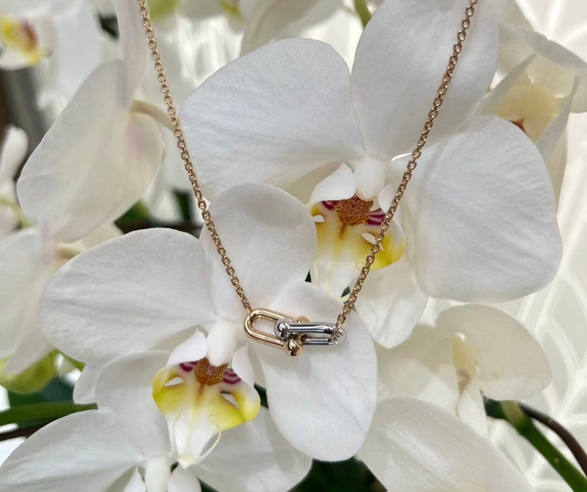 Tiffany & Co. Necklace