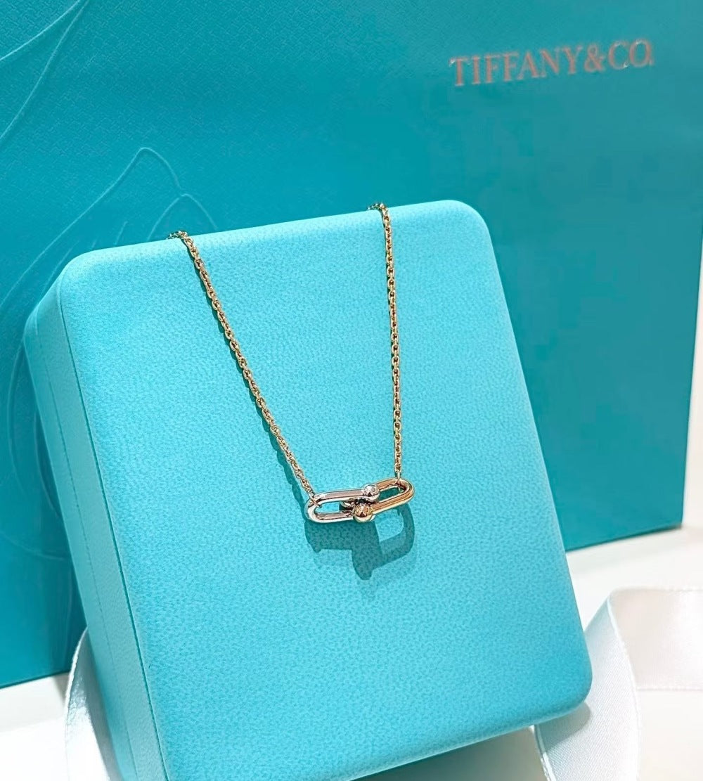 Tiffany & Co. Necklace